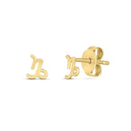 14k yellow gold Capricorn stud earrings featuring detailed zodiac symbol design, perfect for astrology jewelry enthusiasts.