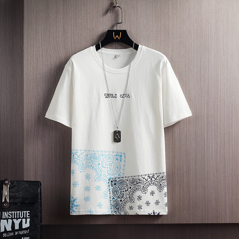 Casual short-sleeved T-shirts from Plush Fashion Hub displayed on hangers, showcasing various colors and styles.