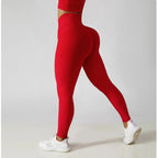 Seamless yoga set by Plush Fashion Hub featuring a jacket, sports bra, and leggings in soft, stretchy activewear fabric.