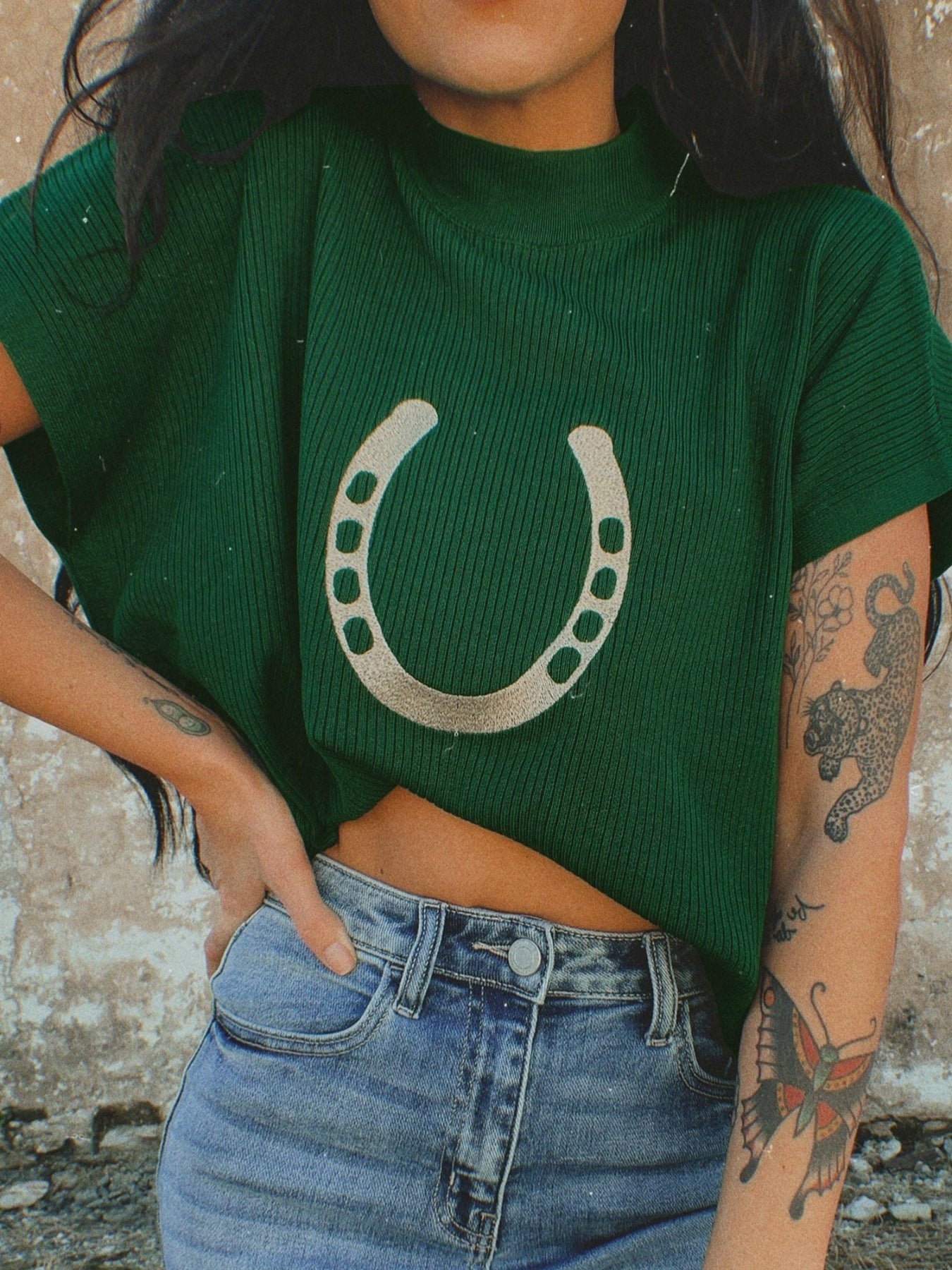 Women's horseshoe graphic ribbed knit short sleeve sweater by Plush Fashion Hub, featuring a casual, fitted design with ribbed texture.