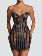 Lace detail tube mini dress by Trendsi featuring a fitted silhouette and elegant lace accents, perfect for stylish occasions.