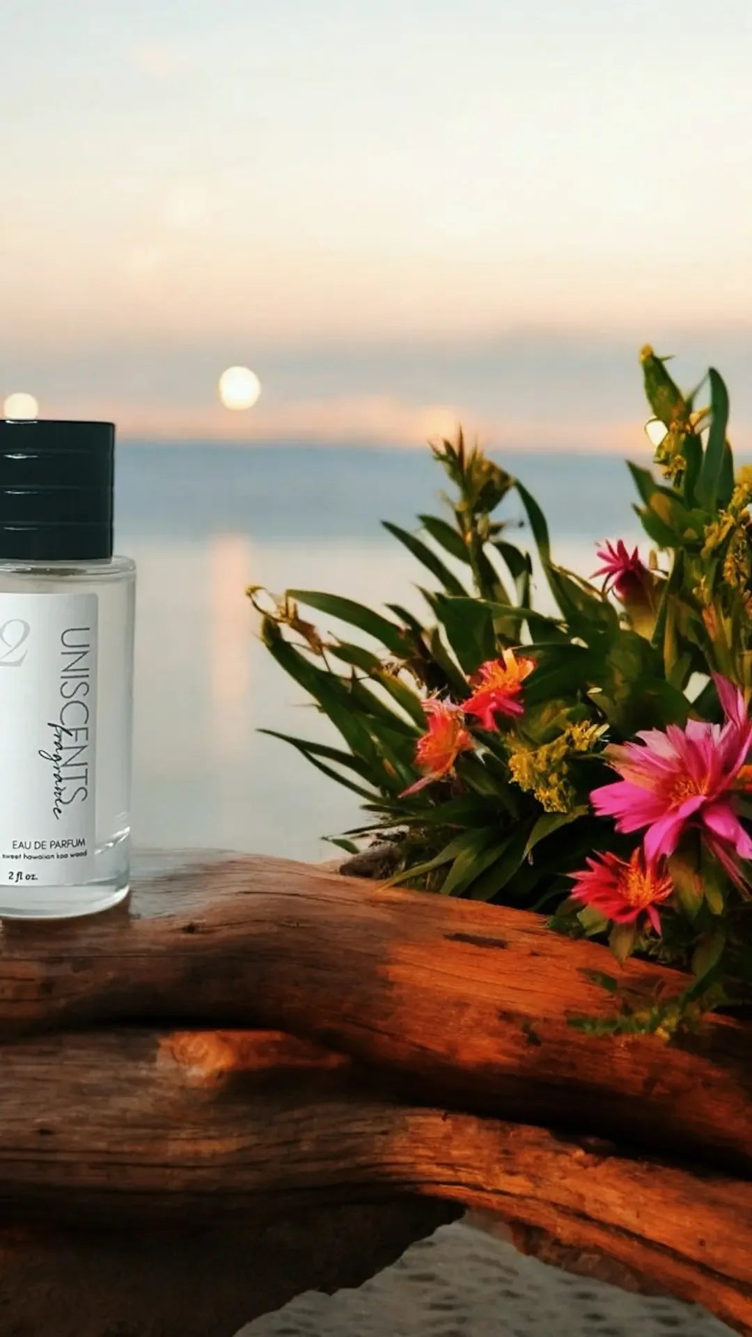 Artisan Perfume & Cologne Spray – 2oz Unisex Fragrance, Gender Neutral - Plush Fashion Hub