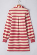 Contrast striped Johnny collar long sleeve mini dress by Plush Fashion Hub, casual chic office wear with stylish stripes and tailored fit.