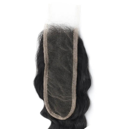 Deep Wave 2x6 HD Lace Human Hair Closure - Plush Fashion Hub