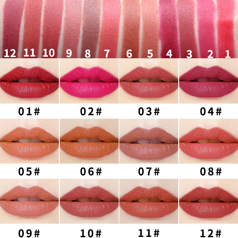 Twelve matte lipstick shades numbered 1 through 12, shown in swatches on skin and applied on lips.