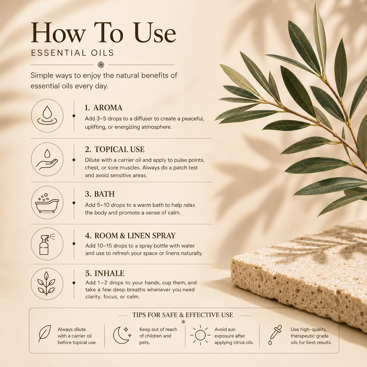 Plush Fashion Hub Eucalyptus beauty product in sleek packaging, designed for skincare and relaxation.