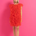 See-through asymmetric organza sleeveless dress with ruffled stitching, designed for women by Plush Fashion Hub.
