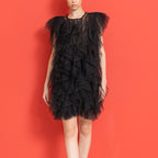 See-through organza sleeveless dress with ruffled stitching and asymmetric design, featuring a sexy and elegant style for women.