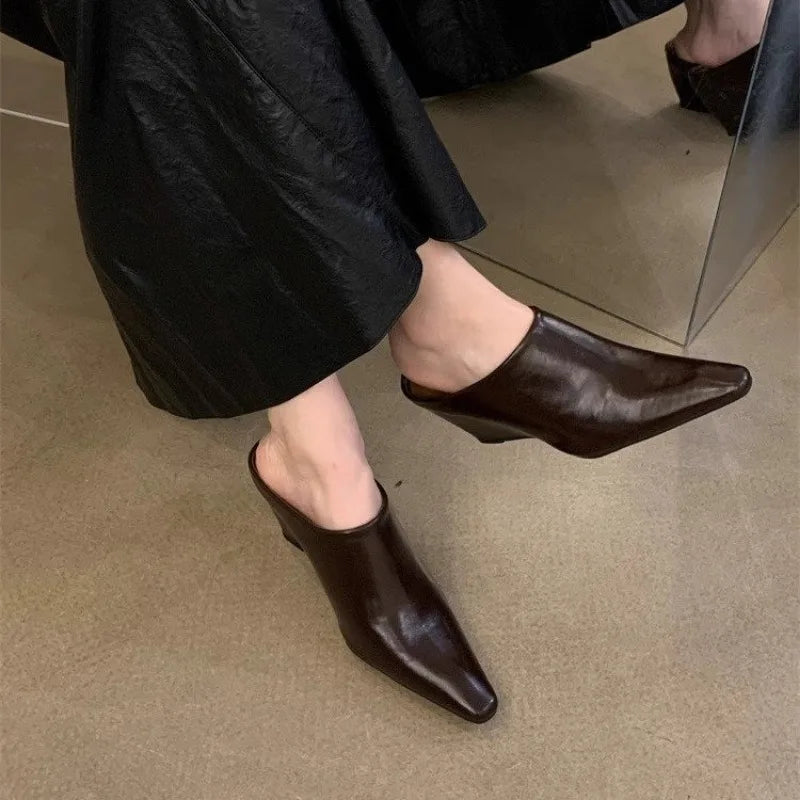LadyShow women's wedge slippers with pointed toes, deep mouth design, slip-on style, anti-slip wear-resistant soles, perfect for spring.