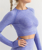 Seamless Plush Fashion Hub yoga crop top for women, activewear, fitted and stretchy with a sleek design for exercise or casual wear.