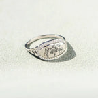Flower epoxy gum oil inlaid zircon ring by Shopimist featuring a floral design and sparkling zircon accents.