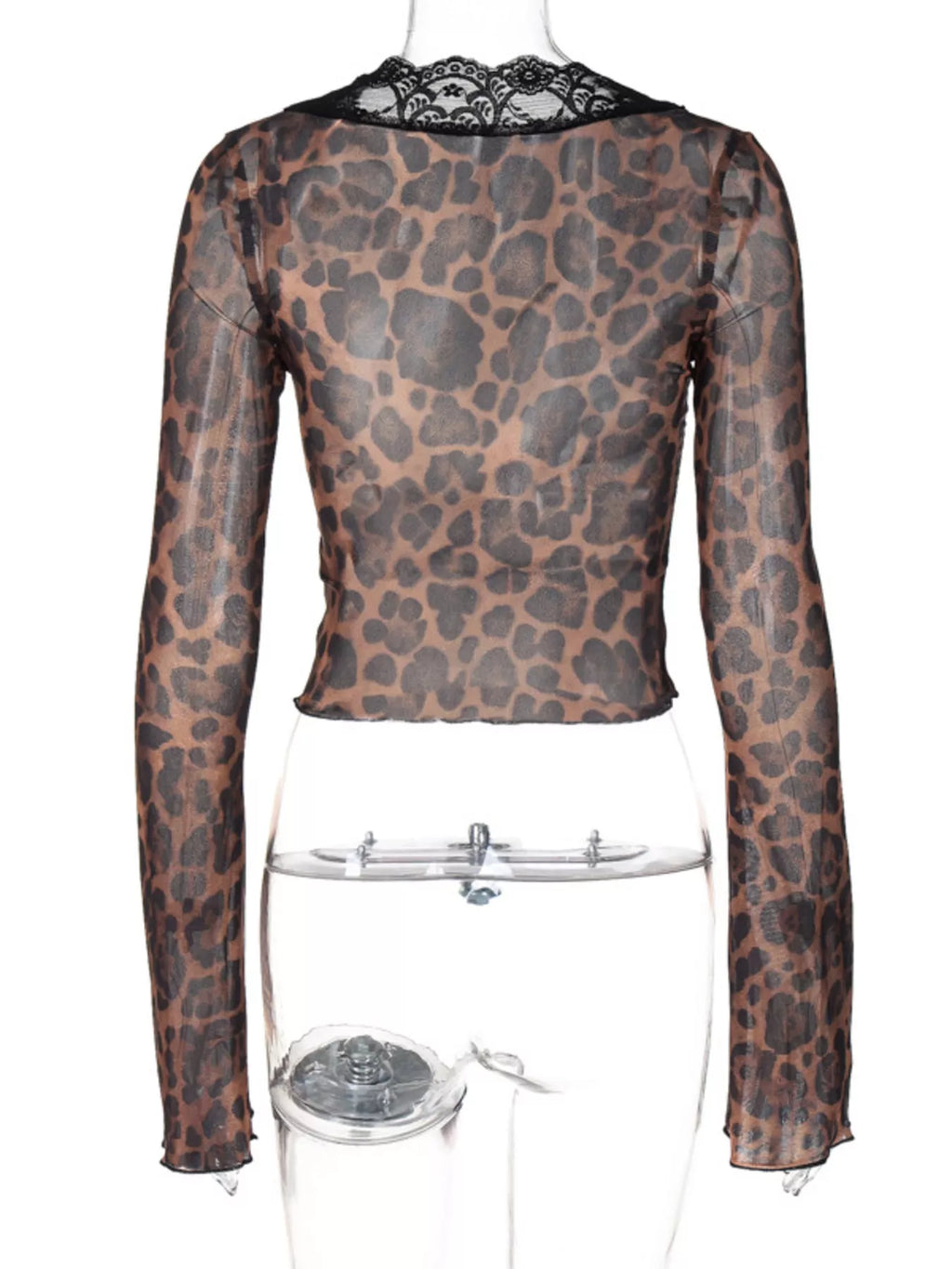 Shopimist lace detail long sleeve top featuring elegant lace accents and a fitted silhouette, perfect for stylish casual wear.