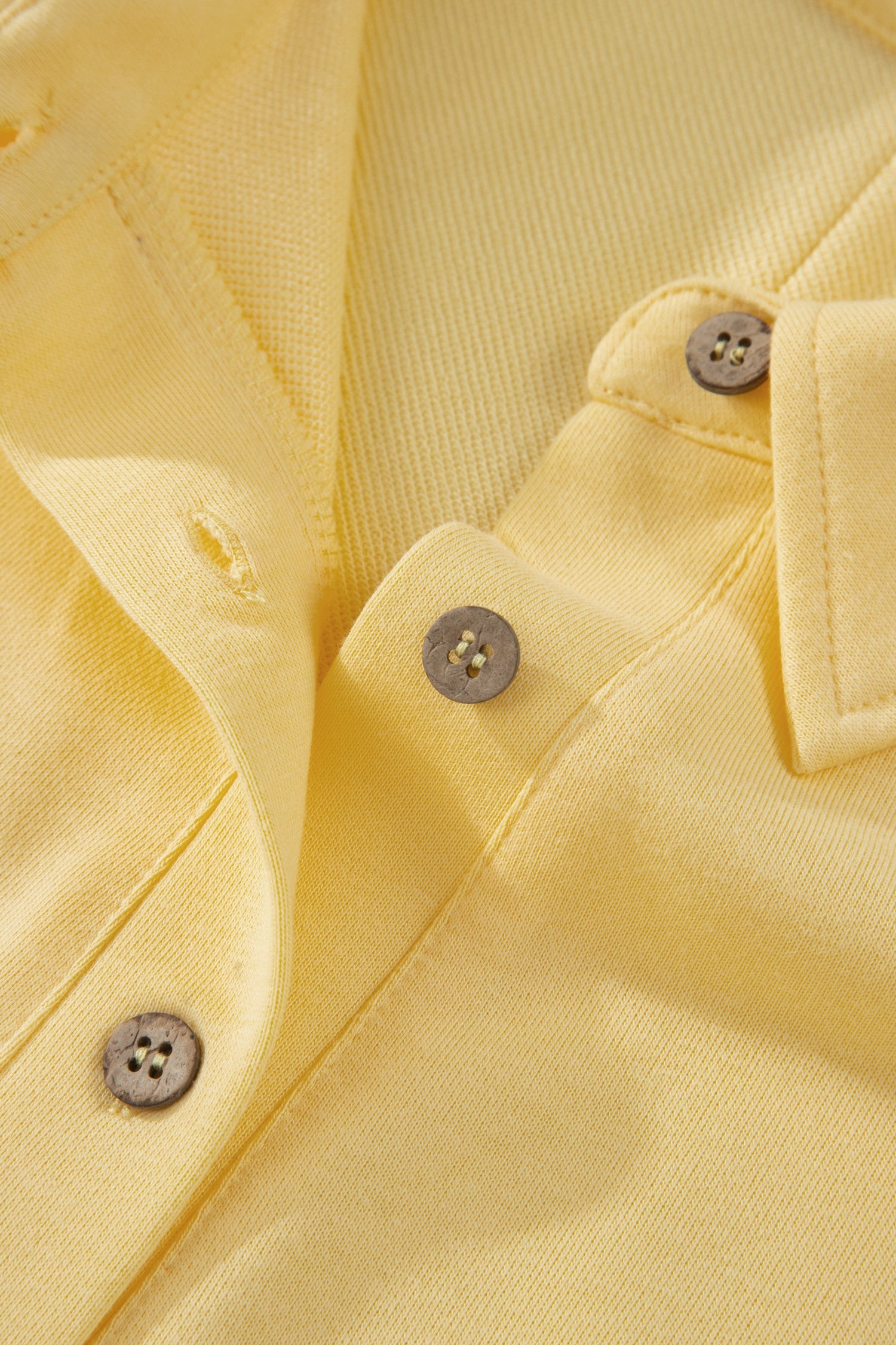 Plus size Legacy Solid Color Polo PLUS Tee by Threaded Pear, casual loungewear shirt in vibrant color, shown on model.