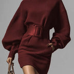 Women's brown bodycon mini dress with boat neck and long sleeves, stylish casualwear from Plush Fashion Hub.
