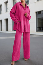 Women's pleated long sleeve lapel two-piece set with loose top and pants, stylish casualwear from Plush Fashion Hub.